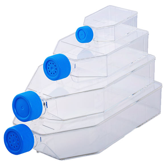 Cell Culture Flasks, PS, Treated and Non-Treated
