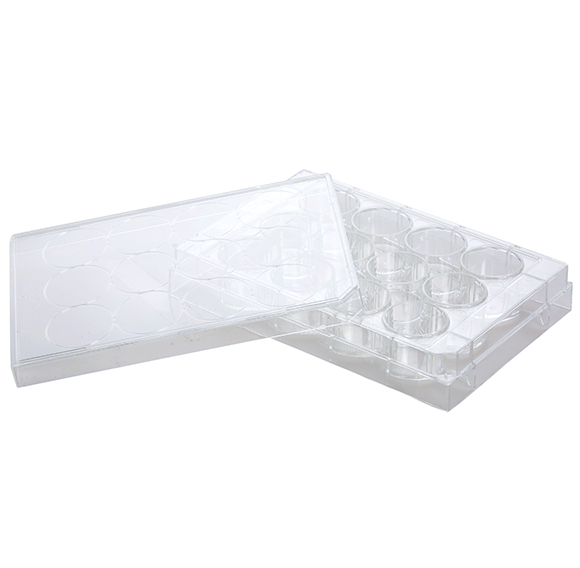 Cell Culture Plates, PS, Treated and Non-Treated