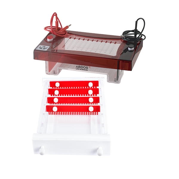 ABDOS MidiLargeAGE Horizontal Electrophoresis