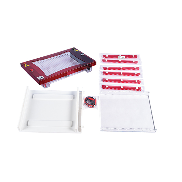 ABDOS HTP AGE Horizontal Electrophoresis