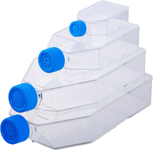 Cell Culture Techniques