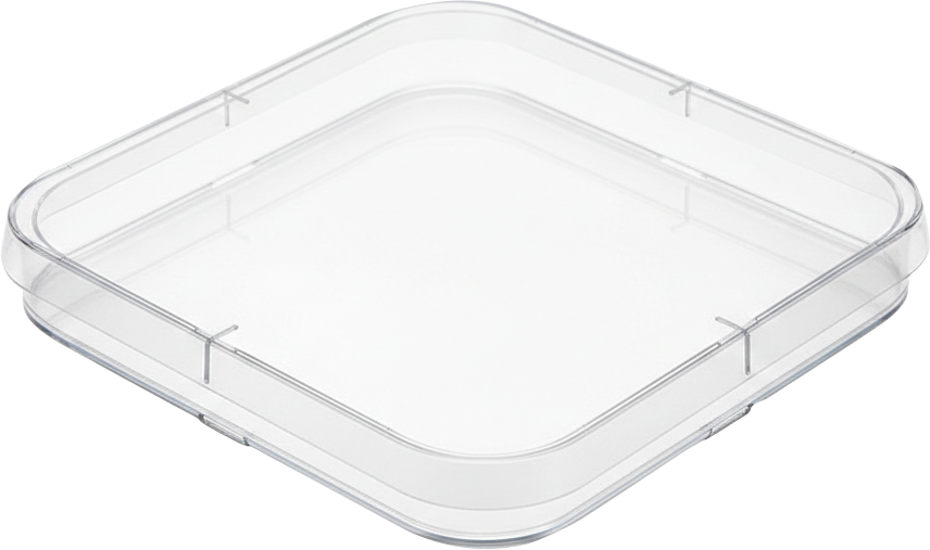 Square Petri Dish, PS