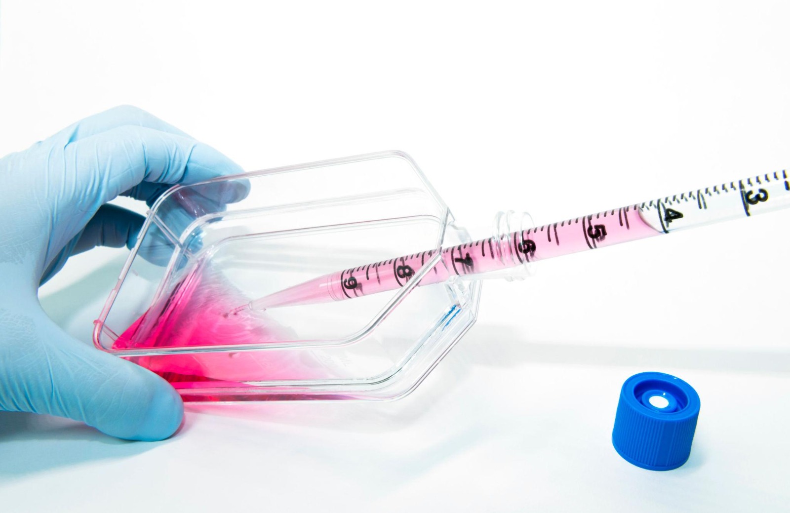 Serological Pipettes: The Quiet Precision Behind Every Great Experiment