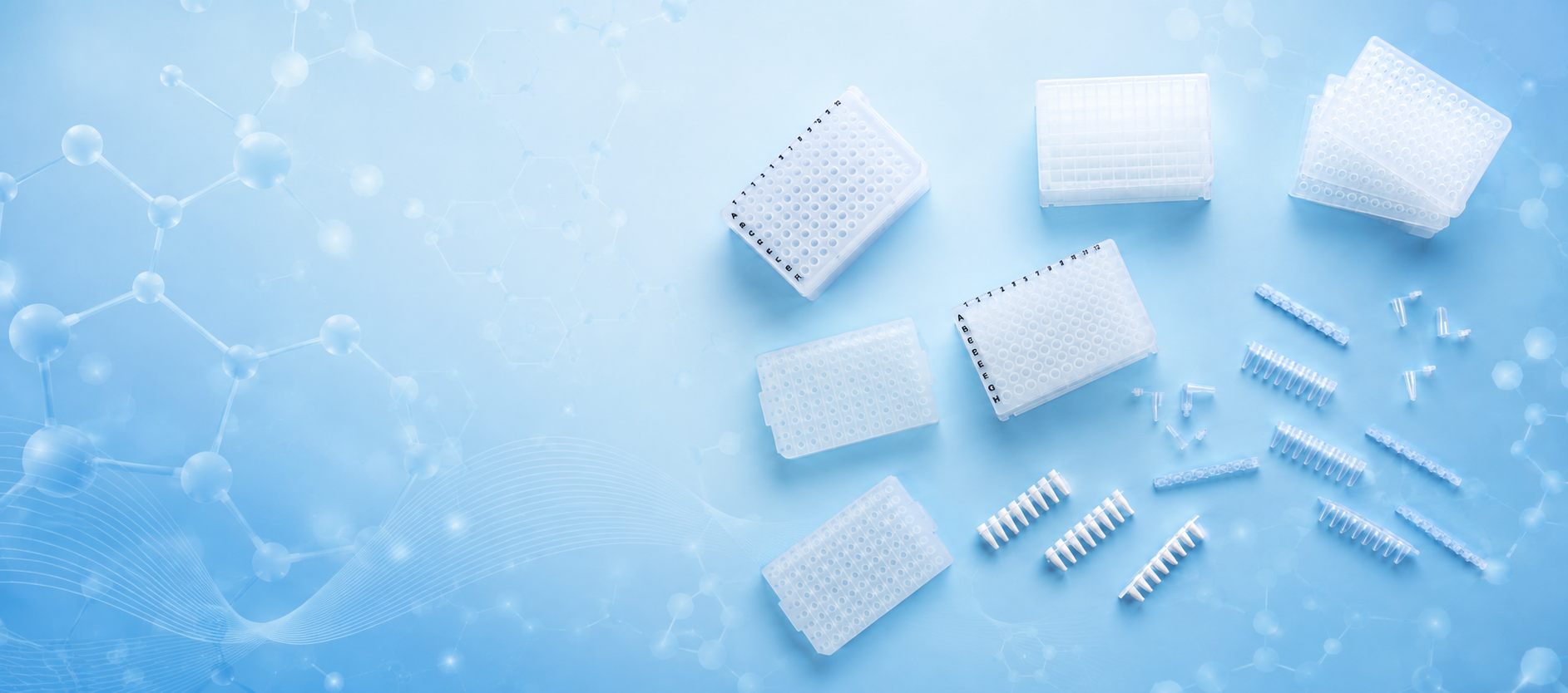 PCR Plate Skirts Which PCR plate format fits your workflow?